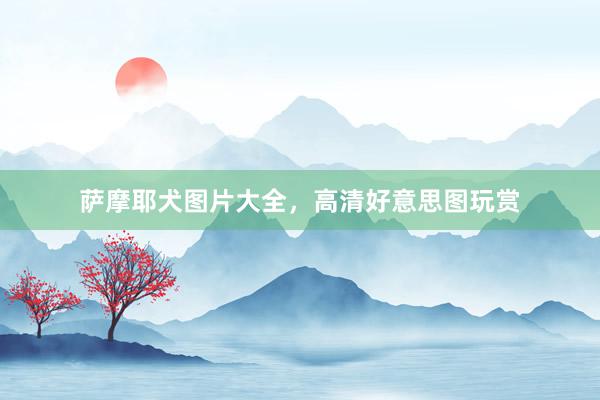 萨摩耶犬图片大全,高清好意思图玩赏