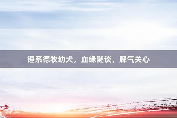 锤系德牧幼犬,血缘隧谈,脾气关心