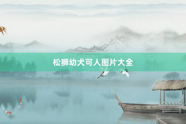 松狮幼犬可人图片大全