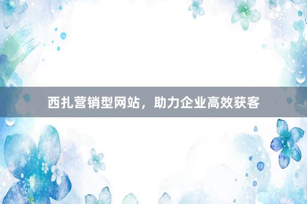 西扎营销型网站，助力企业高效获客
